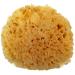 Spa Destinations Natural Sea Wool Sponge 5-6 Natural Renewable Resource Bath & Shower