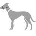 HUNTER Follow Me XL Black Training Harness - Durable Comfortable & Adjustable - Perfect for Large Dogs - International Shipping Available - Buy Online on GoSupps.com
