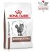 Royal Canin Veterinary Gastrointestinal Cat Food 4 kg | Dry Food for Cats with GI Issues | Supports Digestive Health & High Acceptance - Buy Online on GoSupps.com