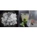 Wellness Energy Water Kefir Drink (45g) - Probiotic Superfood for Gut Health | International Shipping - Buy Online on GoSupps.com