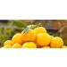 Organic Yuzu Juice | 100% Natural & Squeezed from Tokushima Japan | 3.4 oz (100ml) - Buy Online on GoSupps.com