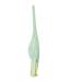 TARVIT Earwax Removal Products Flashlight Clean Tweezers Tool Ear Nose Navel Stainless Steel Tweezers Earwax Removal Care Ears (Color : Green)