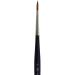 Winsor & Newton Professional Watercolor Sable Brush-Round #3 | High-Quality Paintbrush - Buy Online on GoSupps.com