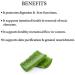 Aloe Vera Leaf Powder 7 Oz (200g) | Promotes Healthy Digestion & Liver Functions | Skin Care Superfood by Bixa Botanical - Buy Online on GoSupps.com