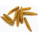 HARTOMPET Dried Black Soldier Fly Larvae - 5lbs & 10lbs - Meal Worms for Chickens & Birds - Poultry Feed Molting Supplement - Oven Dried BSF Larvae 5lb Pack - Buy Online on GoSupps.com
