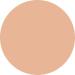 WYCON cosmetics Everyday Wear Liquid Concealer liquid with semimatte finish NW25 - Buy Online on GoSupps.com