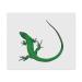 LC00023396 Microfiber Lens/Eyeglass Cleaning Cloths Curly Green Lizard Pack of 2