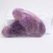Lifting Tool for Women - Enhance Your Beauty Routine with this Innovative Device Purple - Buy Online on GoSupps.com