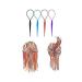 10pcs Tail Hair Styling Kit - Plastic Magic Braid Ponytail Maker Clips & Accessories | DIY Hair Styling Tools (Random Color) - Buy Online on GoSupps.com