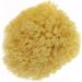 Buy Natural Mediterranean Bath Sponge | Kosmetex | 10 cm Sizes | Soft & Eco-Friendly - Buy Online on GoSupps.com