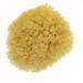 Natural Mediterranean Bath Sponge - Kosmetex | Eco-Friendly | 16 cm Sizes Available | International Shipping - Buy Online on GoSupps.com