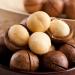 3 Pound (1362 grams) Stir-fried nut Macadamia ternifolia F. Muell Grade A from China.
