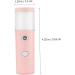 Healeved Facial Humidifier Mini Humidifier Beauty Spray Water Meter Facial Mist Sprayer Abs - Buy Online on GoSupps.com