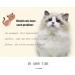 Chukchi Heart Bling Cat Collar | Safety Belt & Bell | Pink | 8-11 Inches - Buy Online on GoSupps.com