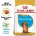 Royal Canin Dachshund Puppy Food 1.5kg (Pack of 3) - Buy Online on GoSupps.com