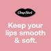 ChapStick Bulk Lip Balm Ice Cream Classics - 216 ct 0.45 oz Tubes | Best Lip Care for Smooth Hydrated Lips - Buy Online on GoSupps.com