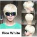 Premium Short Straight Men's Wig - Platinum Blonde 18 cm | International Shipping Available - Buy Online on GoSupps.com