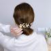 2pcs Women's Medium French Swirl Hair Barrettes Set - Blue+Light Tortoise | Celluloid Automatic Hair Clip Barrette - Buy Online on GoSupps.com