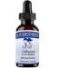 SRBrothers 100% Pure Galbanum Essential Oil 30ml - Therapeutic Quality | International Shipping - Buy Online on GoSupps.com