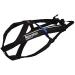 Buy Dog Copenhagen Non-Stop Canicross Harness - Free Motion Size T10 - Black | International Shipping Available - Buy Online on GoSupps.com