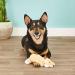 Kong Scrunch Knots Fox Toy for Small/Medium Dogs - Minimal Filling & Knotted Ropes - Orange White Black - 1 Pack - Buy Online on GoSupps.com