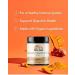 Buy Terra Origin Organic Turmeric Blend Chai - 6.35 oz (180 g) | Premium Herbal Tea - Buy Online on GoSupps.com