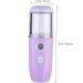 FOMIYES 2 pcs Hydrating instrument nano steamer cold steamer spa skin Moisturizing Mister mini face steamer - Buy Online on GoSupps.com