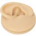 Silicone Ear Model for Earrings | Ear Acupuncture & Jewelry Display | Perfect for Training & Teaching - Buy Online on GoSupps.com