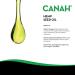 Buy Canah Natural Hemp Seed Oil 250ml - Bio Cold-Pressed Raw Vegan Omega-3 & Omega-6 Rich Kosher Certified for Healthy Cholesterol - Buy Online on GoSupps.com
