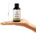 Glamorous Hub Kerala Ayurveda Bala Thailam - Anti-Inflammatory Oil 100 ml | International Shipping Available - Buy Online on GoSupps.com