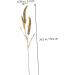 Zerodeko 2pcs Simulated Ears of Corn Dried Wheat Decor Vegetable Plants Dried Wheat Stalks for Decorations Thanksgiving Bouquets Home Decor Fake Grass Decor House Artificial Pu Ornaments Greenx2pcs 12X75CMx2pcs - Buy Online on GoSupps.com