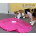 Blackhole Catch The Tail Cat Toy Interactive Play-Catch Electric Rotating Feather Motion Automatic Best Undercover Mouse Under Blanket Cat Toy - Buy Online on GoSupps.com