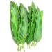 Artistic Solutions Organic Mangifera indica Dried Dry Mango Leaves Leaf forTea 50g (approx 35-45 Leaves) - Buy Online on GoSupps.com