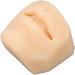 Jauarta Human Mouth Model - Soft Silicone Lifelike Lips for Jewelry Display | High Simulation - Buy Online on GoSupps.com