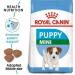 Royal Canin Mini Puppy Food 4kg Poultry 4 kg (Pack of 1) - Buy Online on GoSupps.com