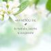 Kerstin Florian Organic Neroli Blossom Bath & Body Oil | Nutrient-Rich Moisturizer with Coconut & Jojoba Oil (3.4 fl oz) - International Shipping Available - Buy Online on GoSupps.com