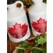 47 North Canadian Organic Maple Syrup 1000ml Grade A Amber Rich - Vegan, Gluten-Free for Pancakes, Dressing, Yogurt, Coffee - Buy Online on GoSupps.com