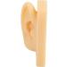 Silicone Ear Model Lifelike Artificial Silicone Ear Model Simulation Elastic for Display (Right) - Buy Online on GoSupps.com