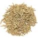 PUB Organicgreen Herb Indra Jau -400GM | Indrajav | Inderjo indrajau Kadwa Holarrhena Pubescens