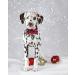 Summer Dog Collar with Bow Tie & Flower for Small to Large Dogs | Adjustable Safety Metal Buckle | RedPlaid | Pack of 1 - Buy Online on GoSupps.com