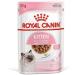 Royal Canin Kitten Complete Wet Food in Gravy 48 x 85g - Buy Online on GoSupps.com