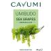 CAVUMI Sea Grapes 20g - Crunchy Seaweed Snack | Umibudo Green Caviar for International Shipping - Buy Online on GoSupps.com