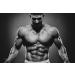 Buy Body Builder Creatine Powder (100G) - Build Muscle & Strength - 2 Bottles - International Shipping Available - Buy Online on GoSupps.com