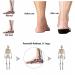 Flat Foot Orthopedic Insoles for Men & Women | Arch Support Inserts | EVA Sports Shoe Pads (46-48 - Buy Online on GoSupps.com