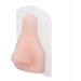 Flexible Lifelike Practice Nose Model for Medical Training - Portable & Waterproof - Buy Online on GoSupps.com
