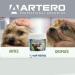 Artero Eyes Wipe Fingers - Buy Online on GoSupps.com