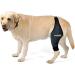 Ortocanis Knee Brace for Dogs | Large Right Leg Support for Cruciate Ligament Injuries, Patella Dislocation, Osteoarthritis - Buy Online on GoSupps.com