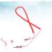 BESPORTBLE 3 Pcs 5 Pet Leash Cockatiel Harness and Leash Rabbit Leash Bunny Harness Bunny Leash Bird Budgie Size 2x3pcs As Shownx3pcs - Buy Online on GoSupps.com