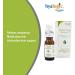 Shop Hyalogic Stem Cell Face Serum Rejuvenate Skin with Citrustem & Premium Hyaluronic Acid 0.47 Fl Oz Youthful Radiance Worldwide Shipping - Buy Online on GoSupps.com
