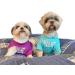 Cute Dog T-Shirt for Medium & Small Dogs - Breathable Pet Costume for Puppies & Cats (S-(48lb) Chest14 Aqua) - Buy Online on GoSupps.com